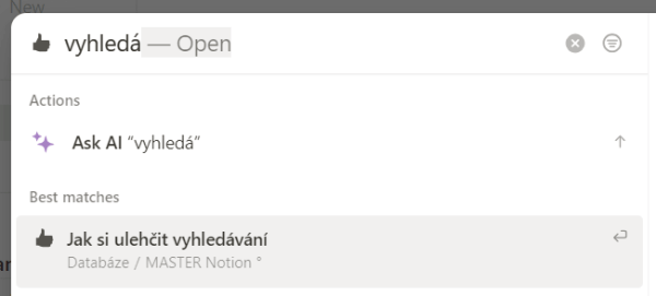 Notion vyhledávání